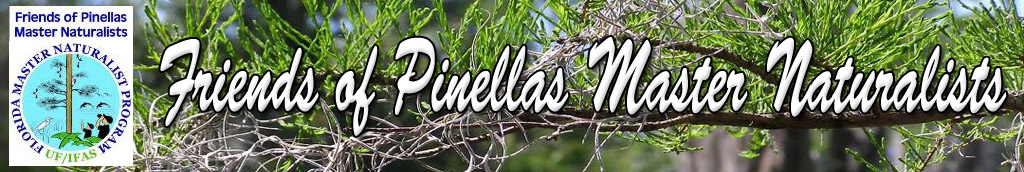 Friends of Pinellas Master Naturalists